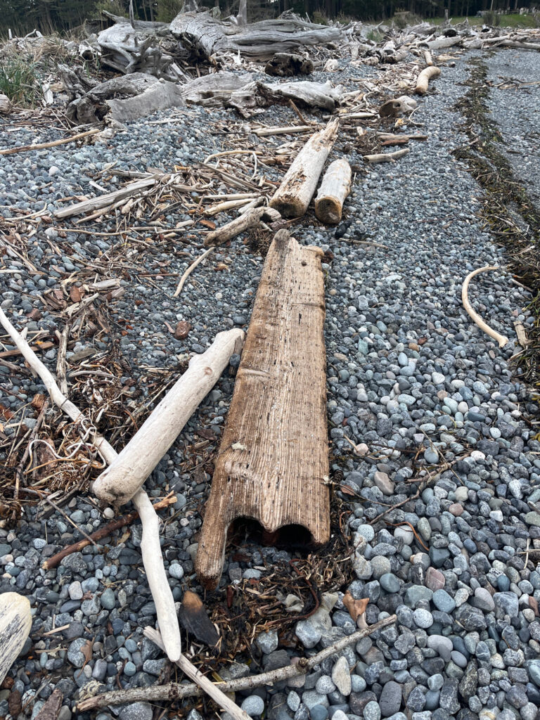 a pile of wood on a gravel surface (MyCoast AI)