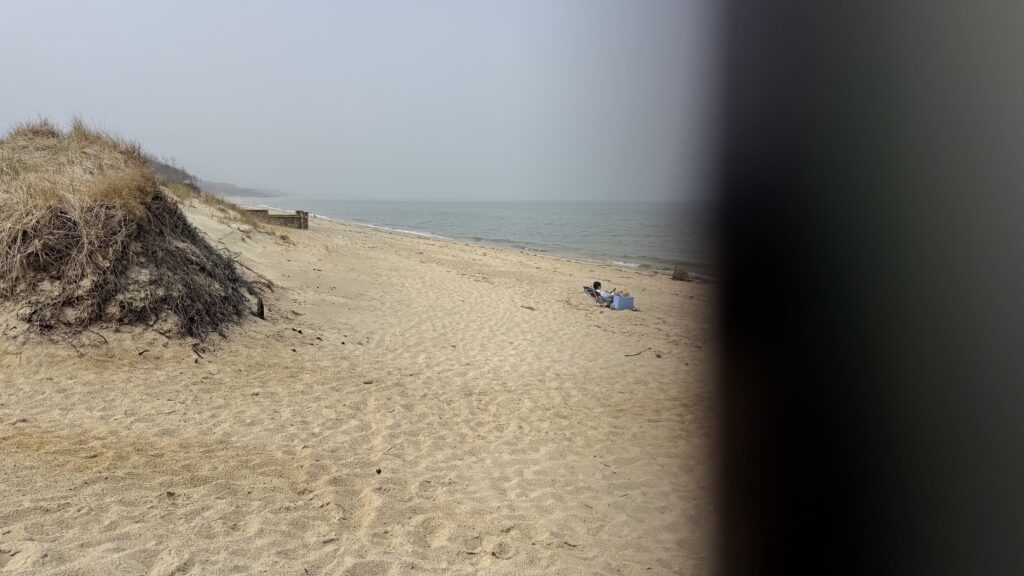 a sandy beach with a body of water in the background (MyCoast AI)