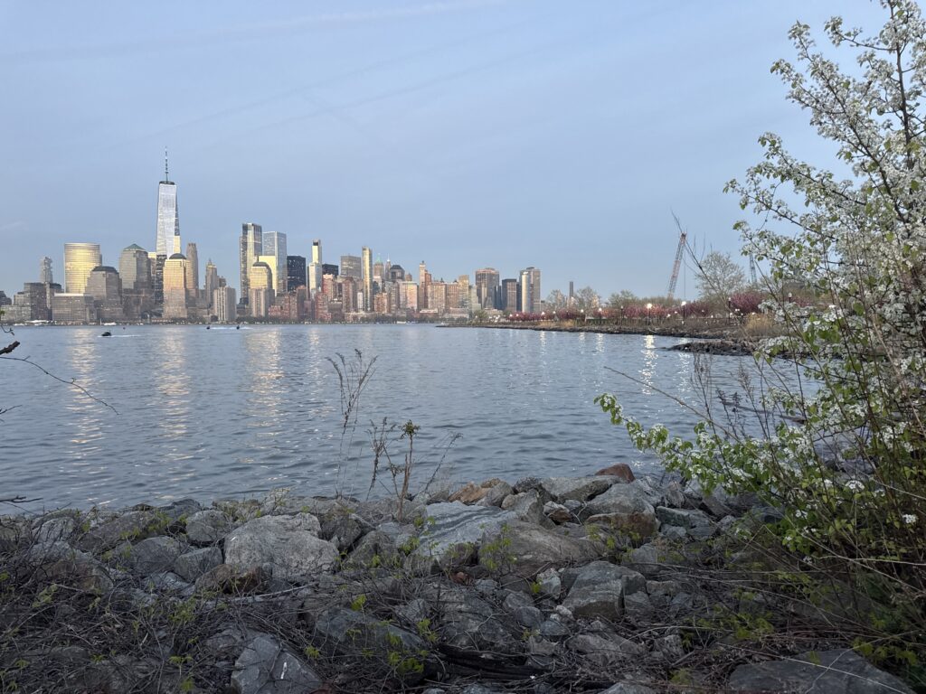 a city skyline across a body of water (MyCoast AI)