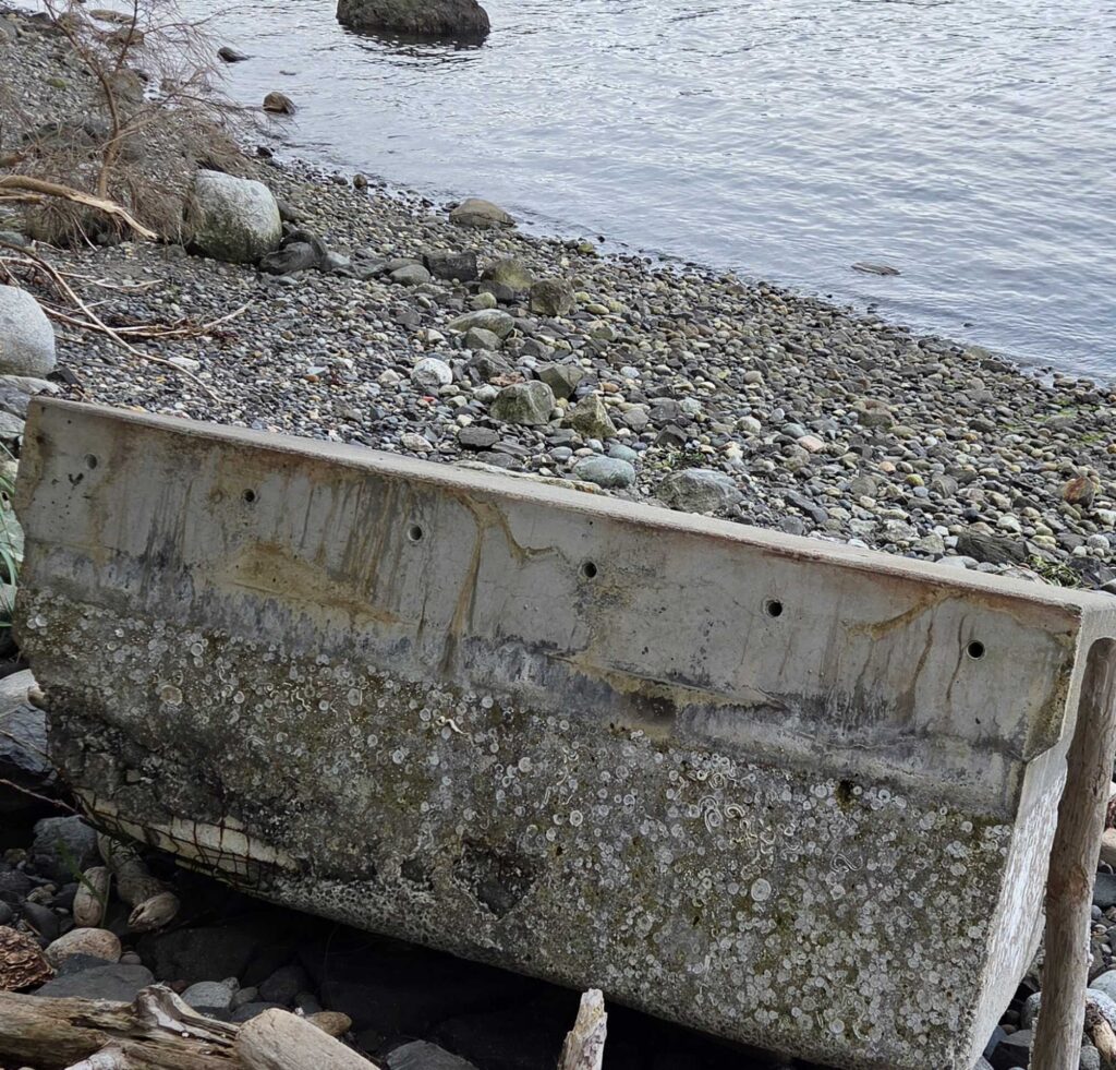 a concrete wall next to a body of water (MyCoast AI)