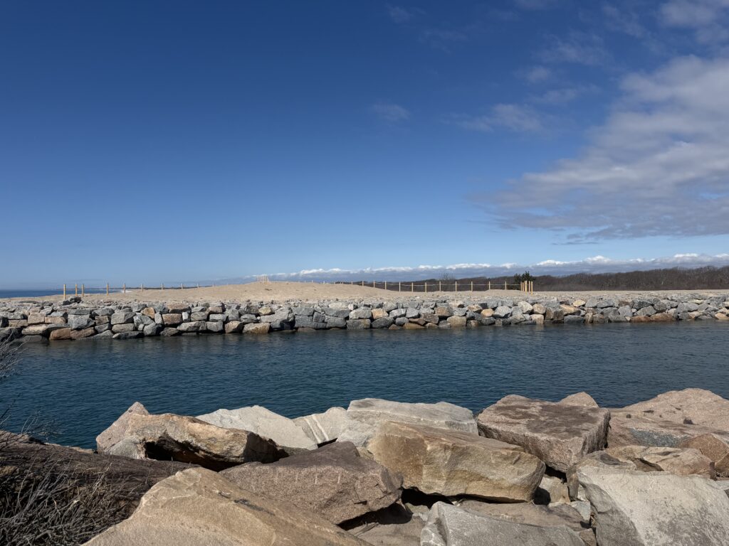 a body of water with rocks and a beach in the background (MyCoast AI)