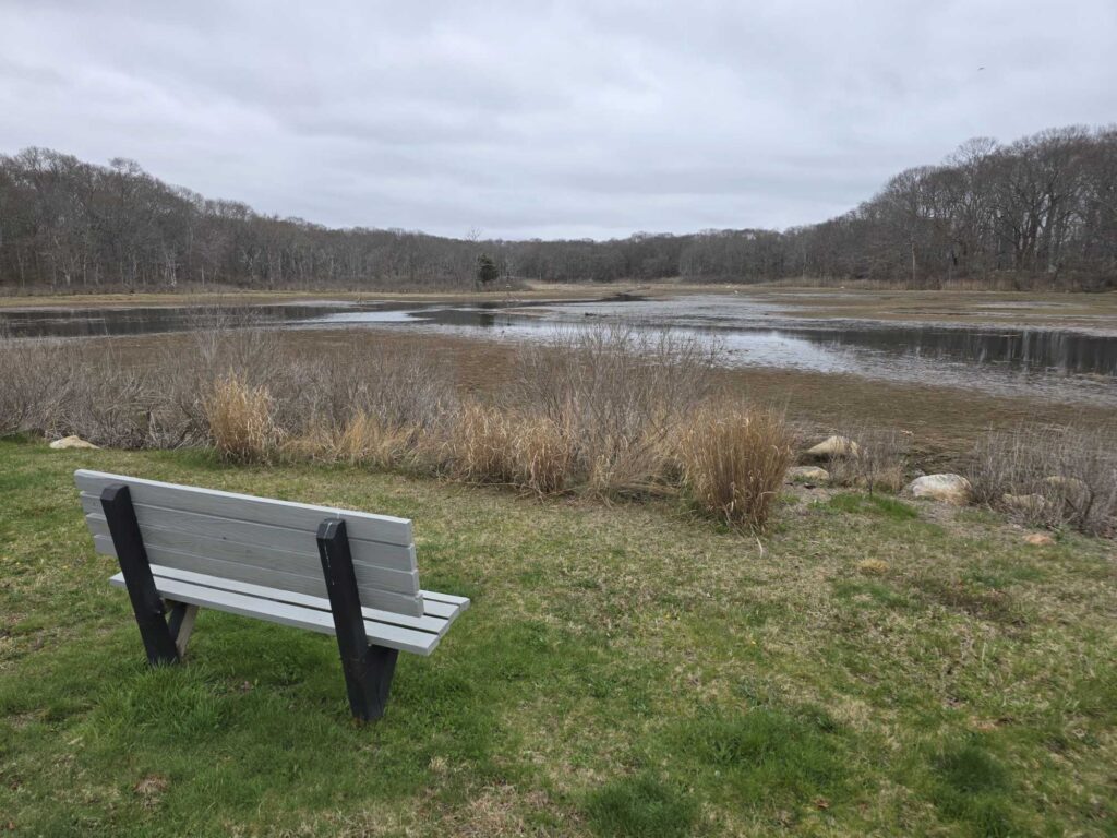 a bench sits in a grassy field (MyCoast AI)