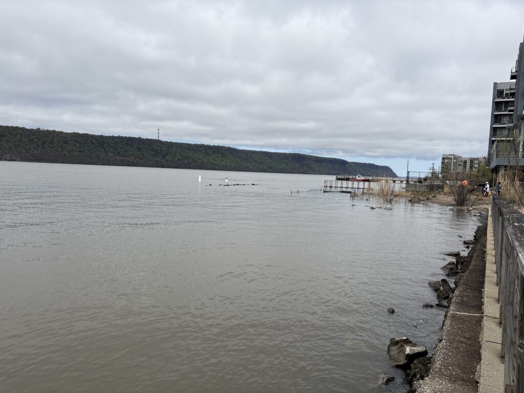 a body of water with a dock and buildings along it (MyCoast AI)