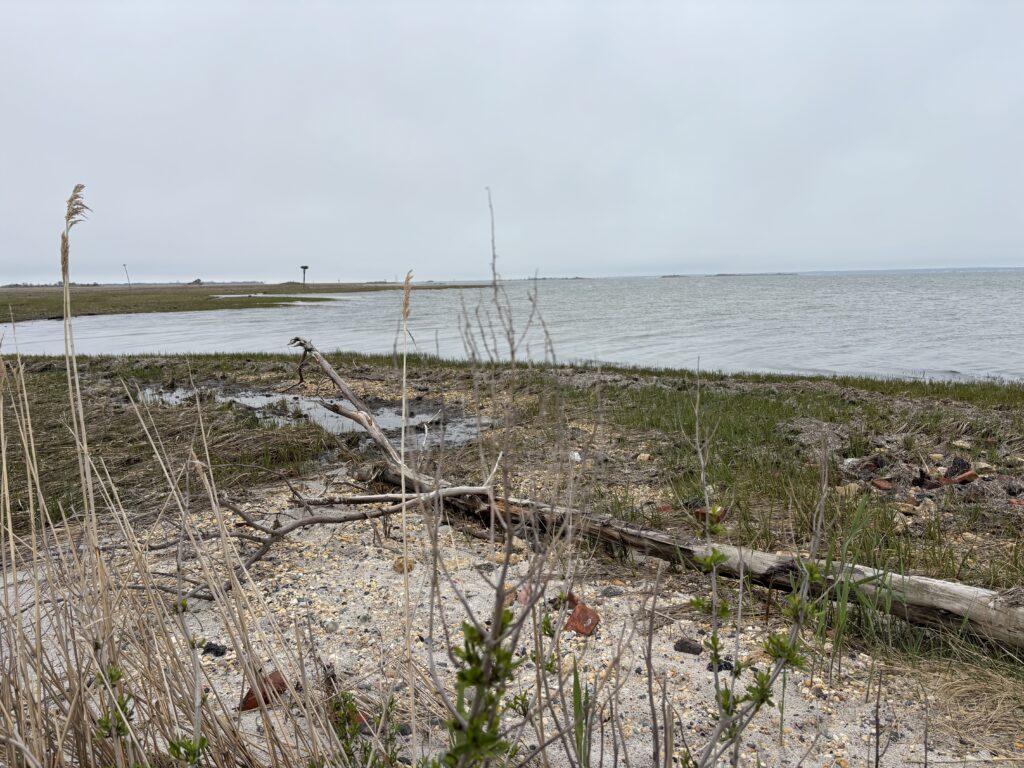 a beach with a fence and plants (MyCoast AI)