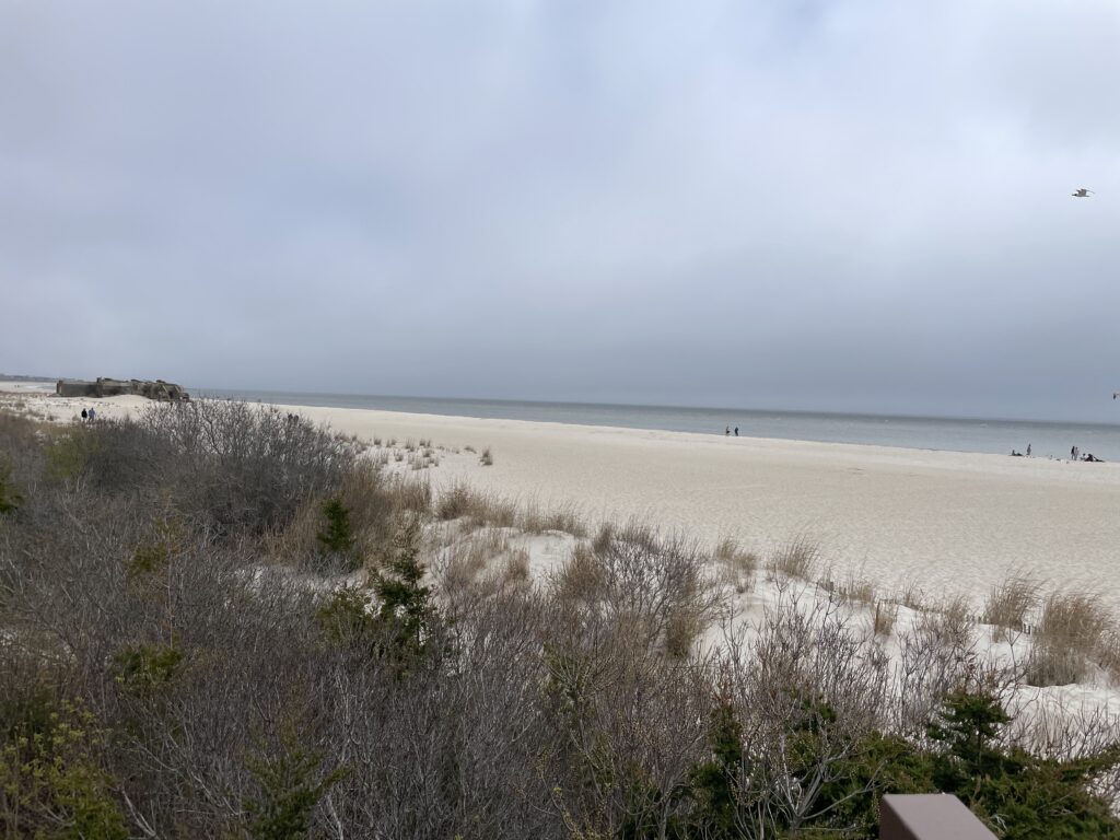 a beach with bushes and trees (MyCoast AI)