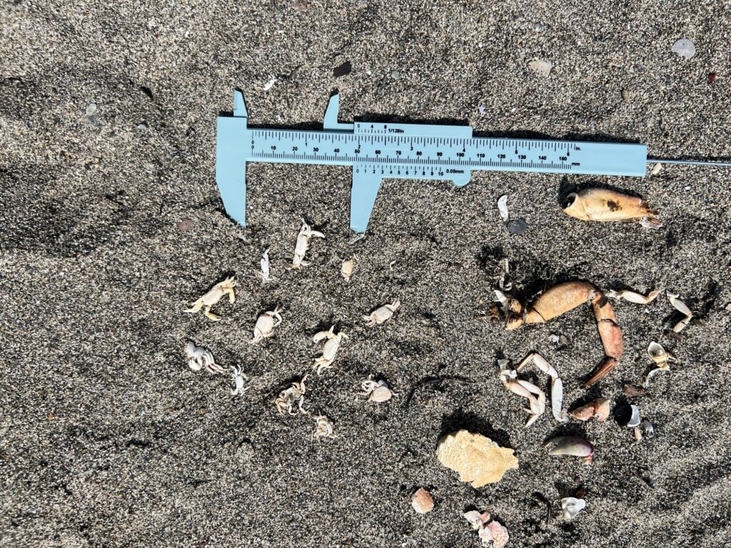 a sign on the ground (MyCoast AI)