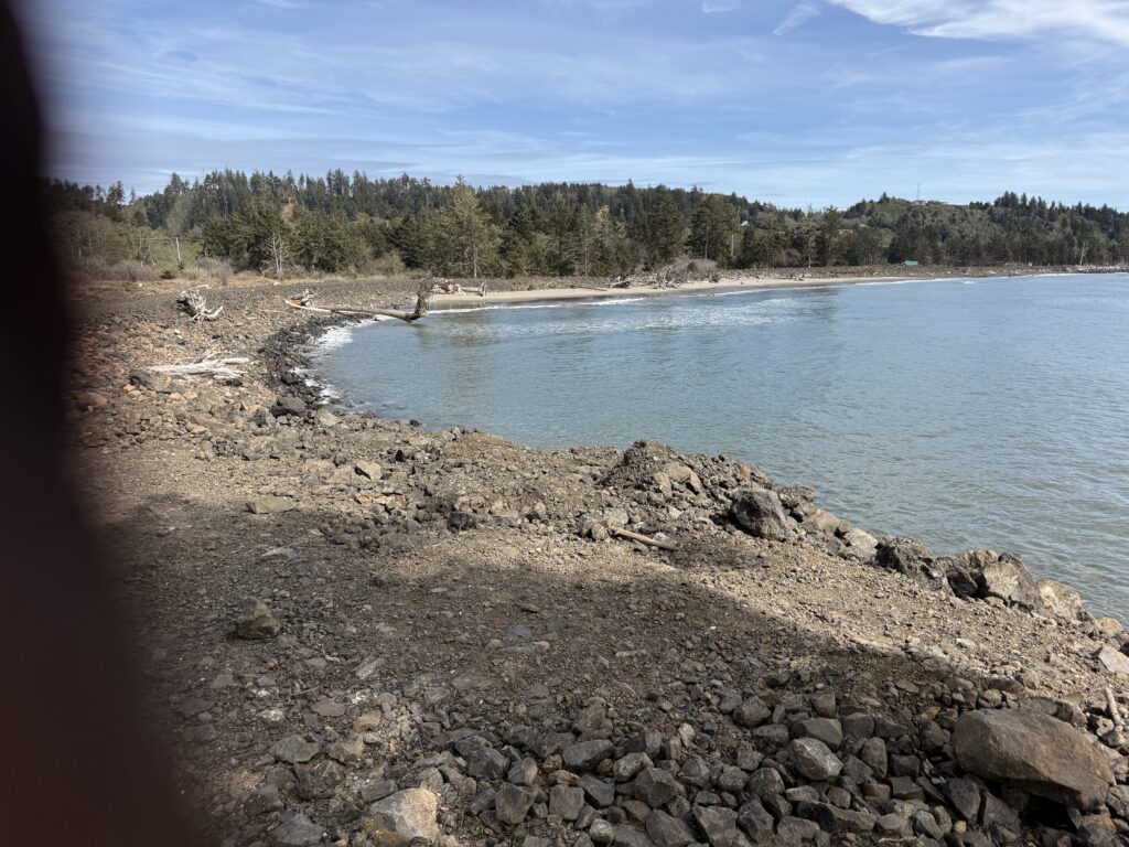 a rocky shore with a body of water and trees in the background (MyCoast AI)