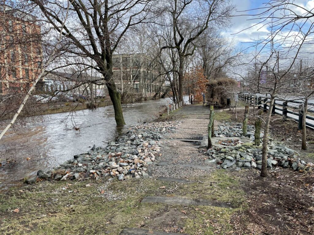 a stream with a bridge and trees (MyCoast AI)