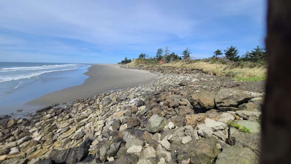 a rocky beach with trees and water (MyCoast AI)