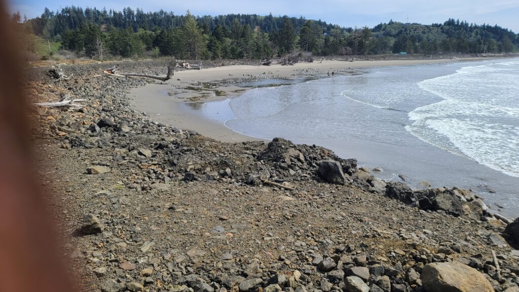 a rocky beach with trees in the background (MyCoast AI)