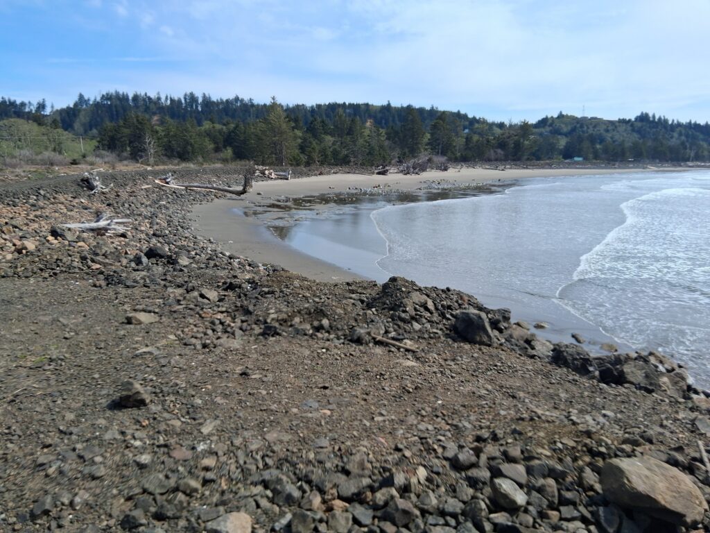 a rocky beach with trees in the background (MyCoast AI)