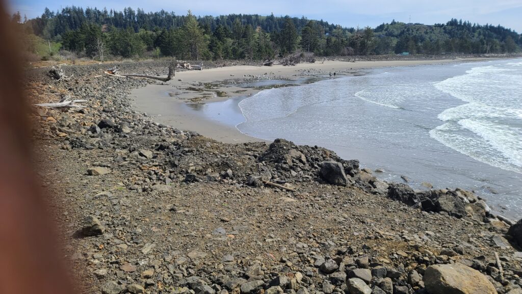 a rocky beach with trees in the background (MyCoast AI)