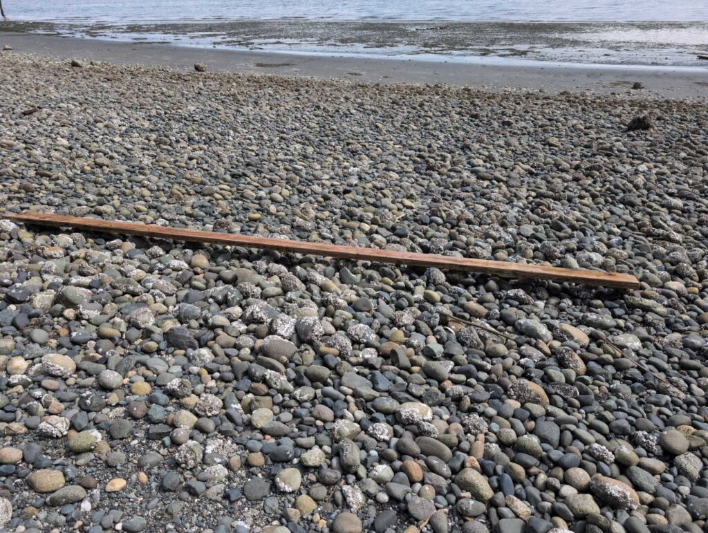a railroad track on a rocky beach (MyCoast AI)