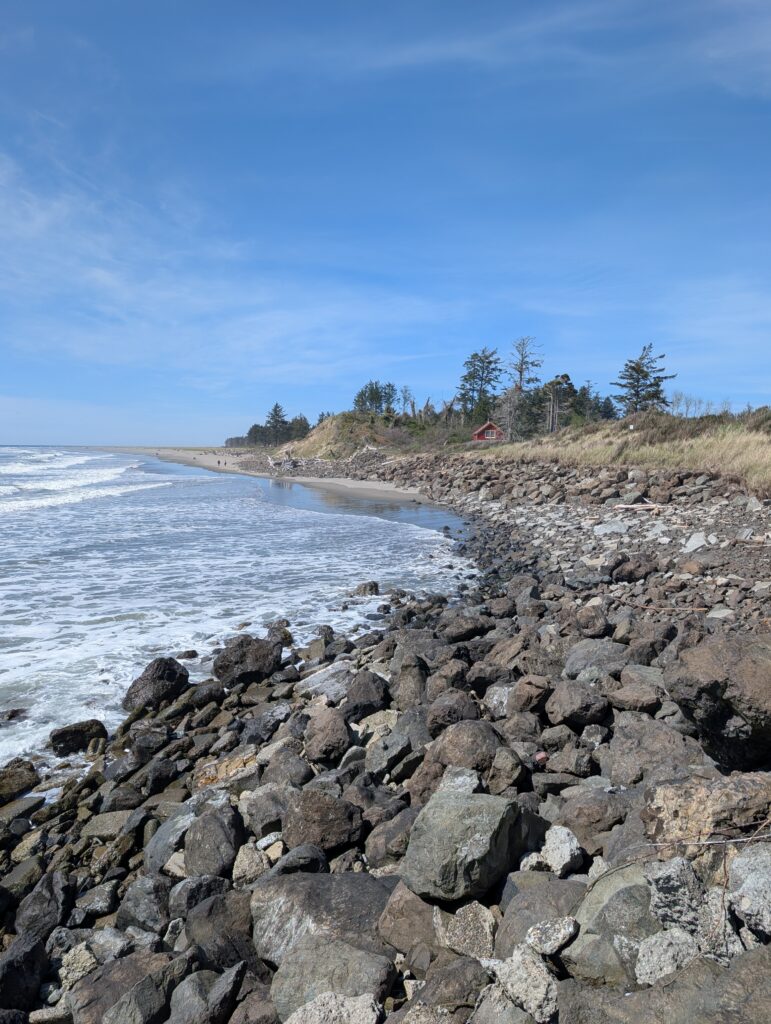 a rocky beach with trees and a body of water (MyCoast AI)