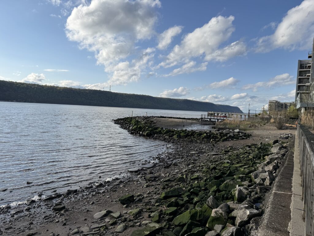 a rocky beach with a body of water and a hill with buildings (MyCoast AI)