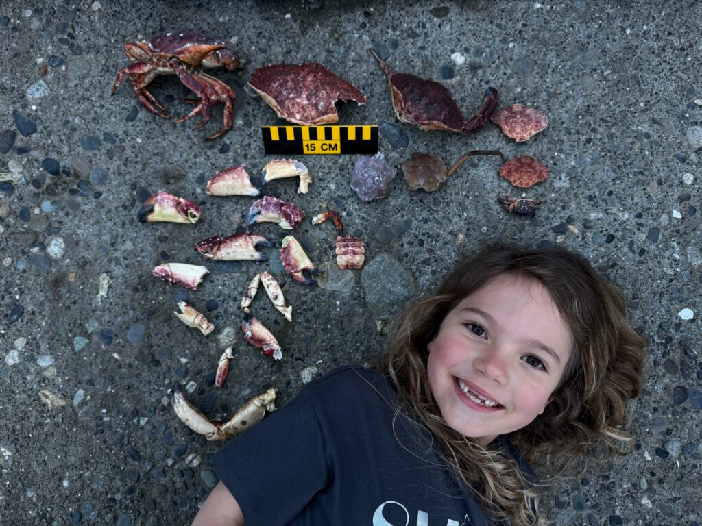 a girl standing in front of a pile of crab shells (MyCoast AI)
