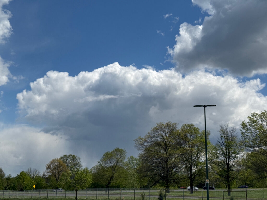 a park with trees and a cloudy sky (MyCoast AI)