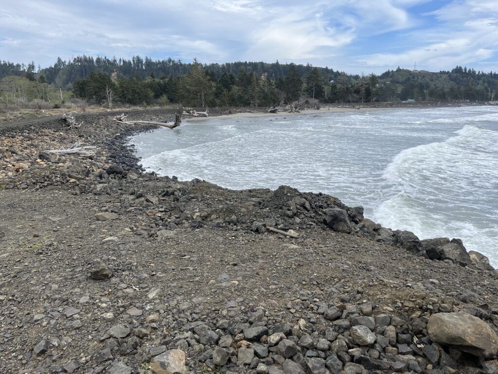 a rocky shore with a body of water and trees in the background (MyCoast AI)