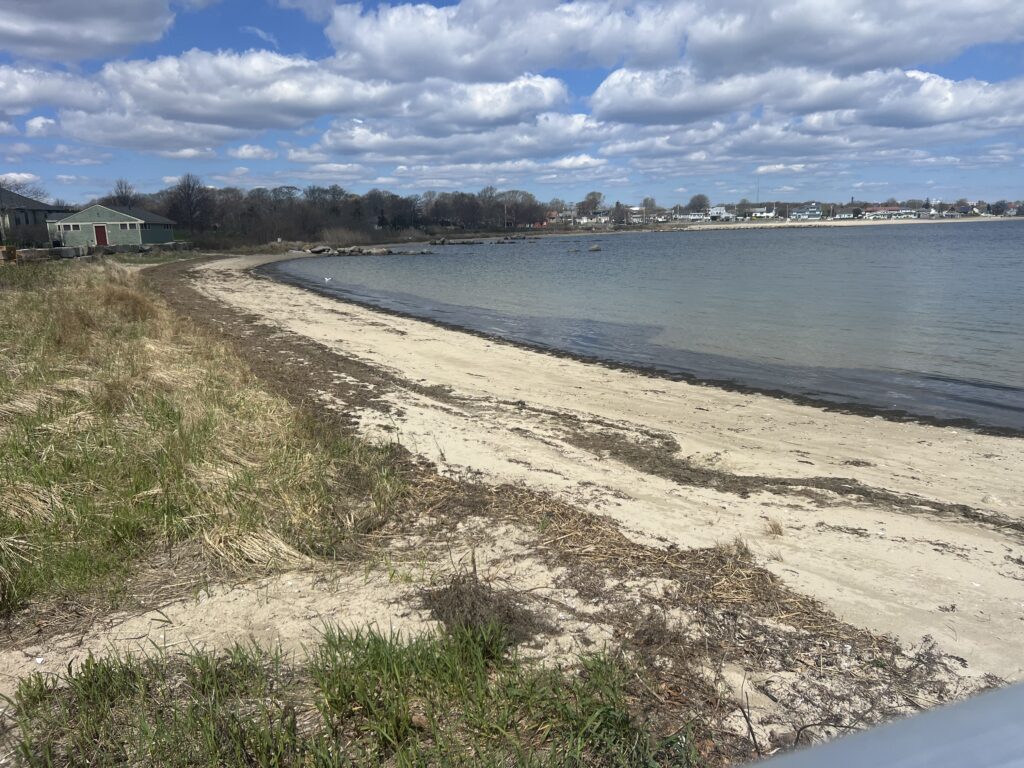 a beach with grass and a body of water (MyCoast AI)
