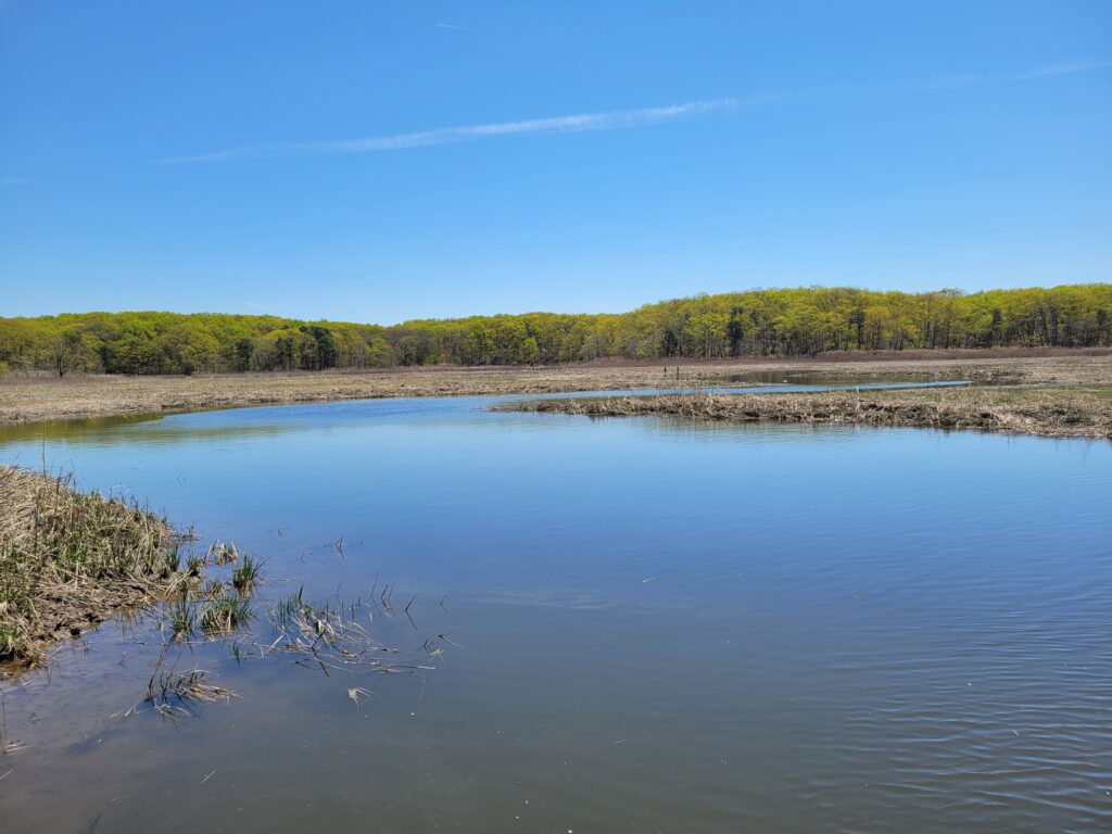 a body of water with land in the back (MyCoast AI)