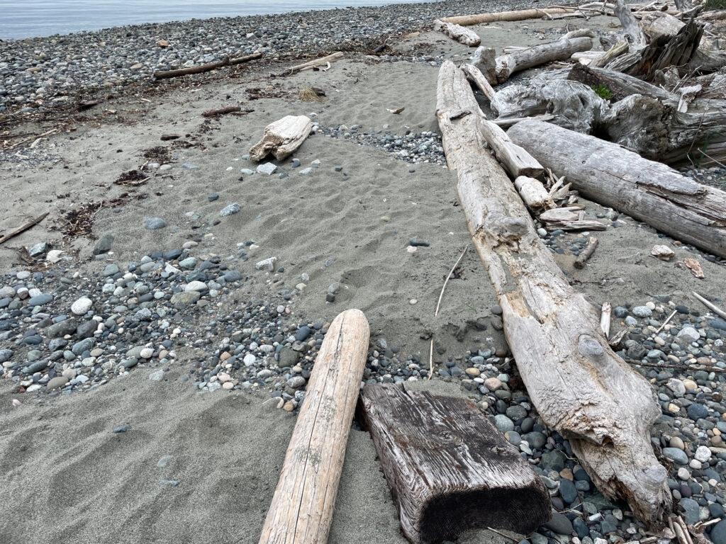 a group of logs on a beach (MyCoast AI)