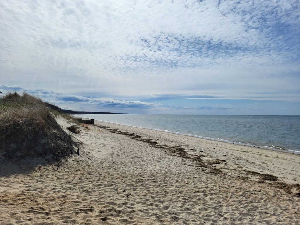 a sandy beach with a body of water in the background (MyCoast AI)