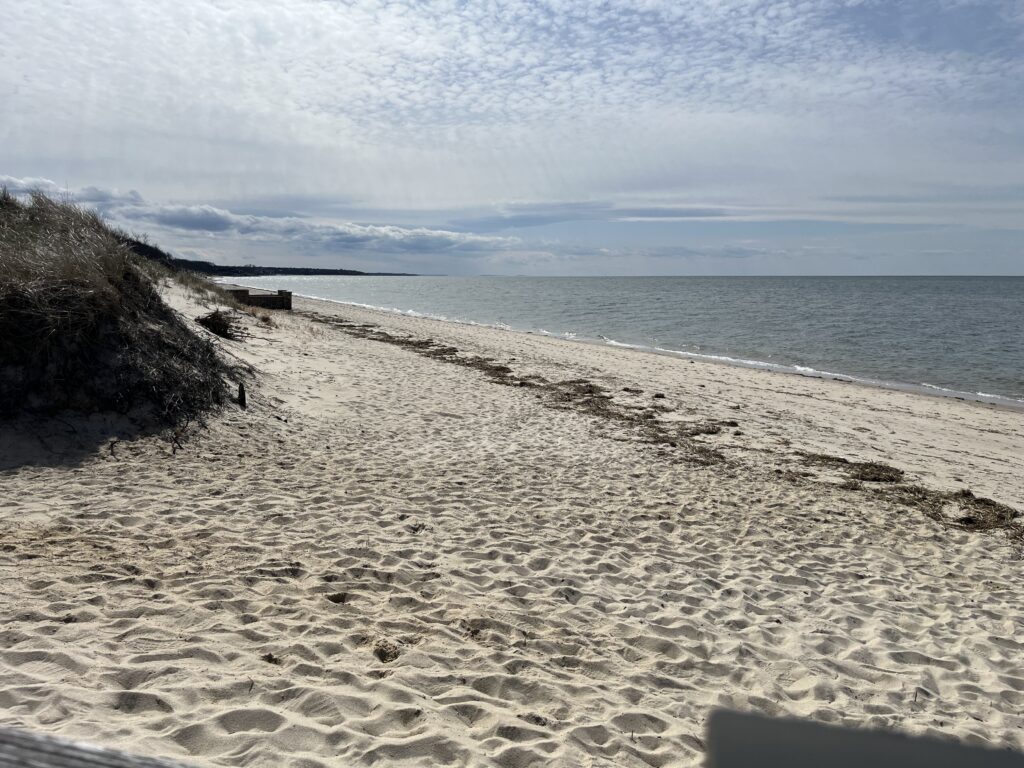 a sandy beach with a body of water in the background (MyCoast AI)