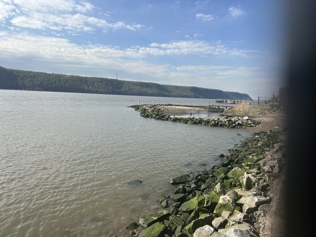 a rocky beach with a body of water and a land with a hill in the background (MyCoast AI)
