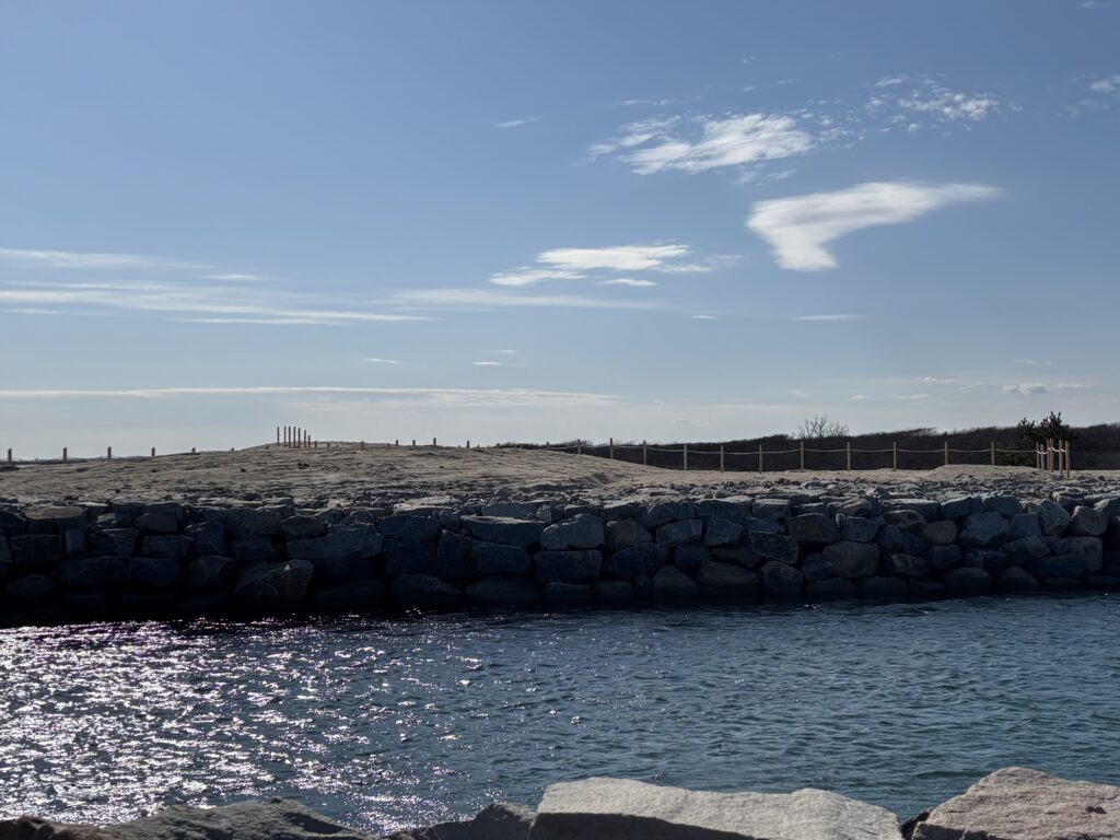 a rocky shoreline with a fence and trees in the background (MyCoast AI)