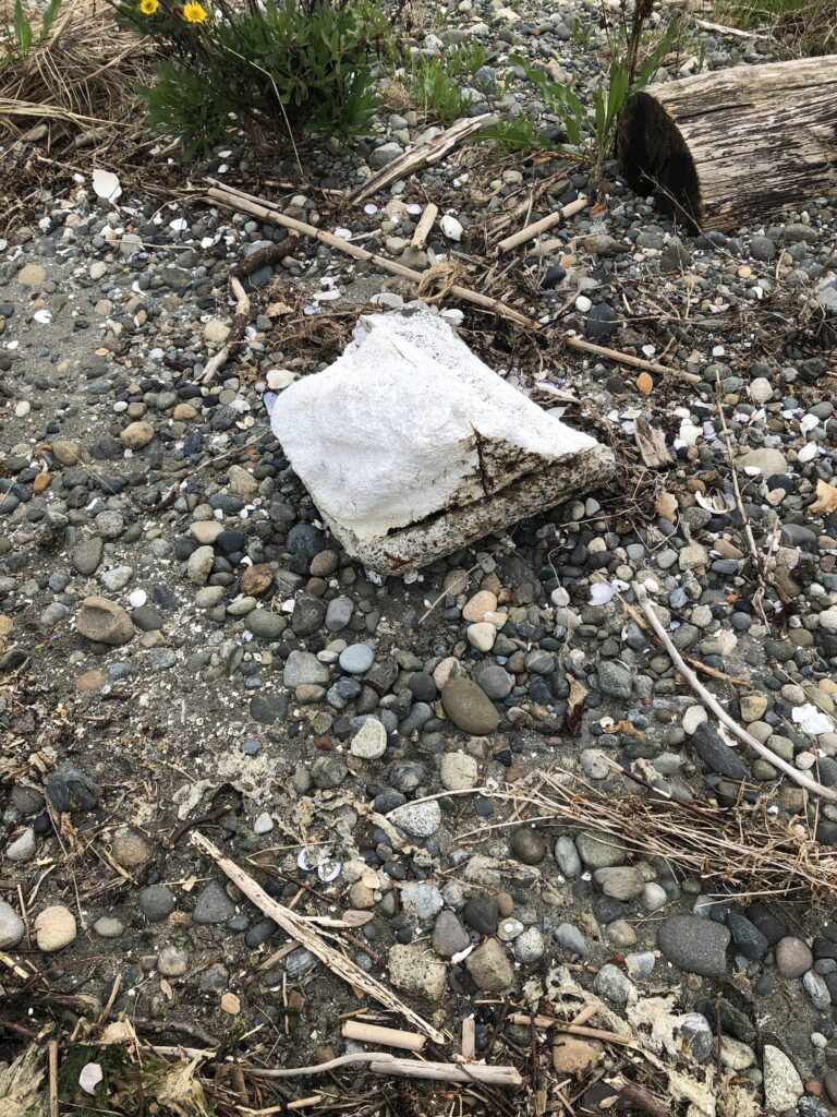 a white object on the ground (MyCoast AI)
