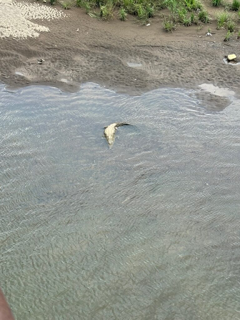 a body of water with a rock in it (MyCoast AI)