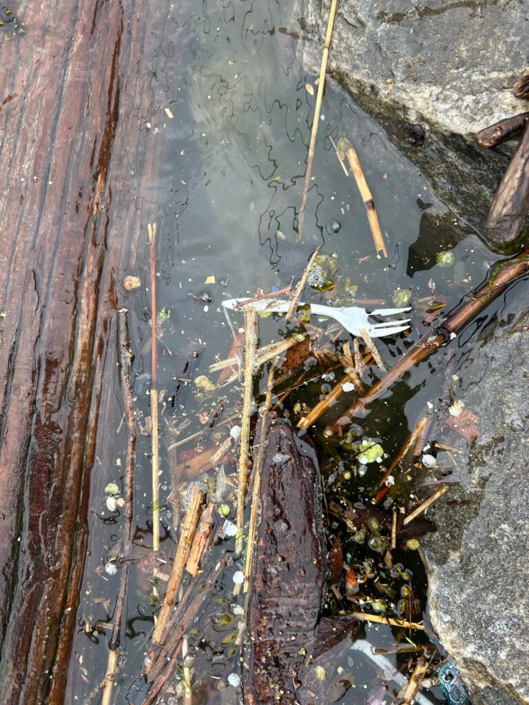 a puddle of water with a broken pole and sticks (MyCoast AI)