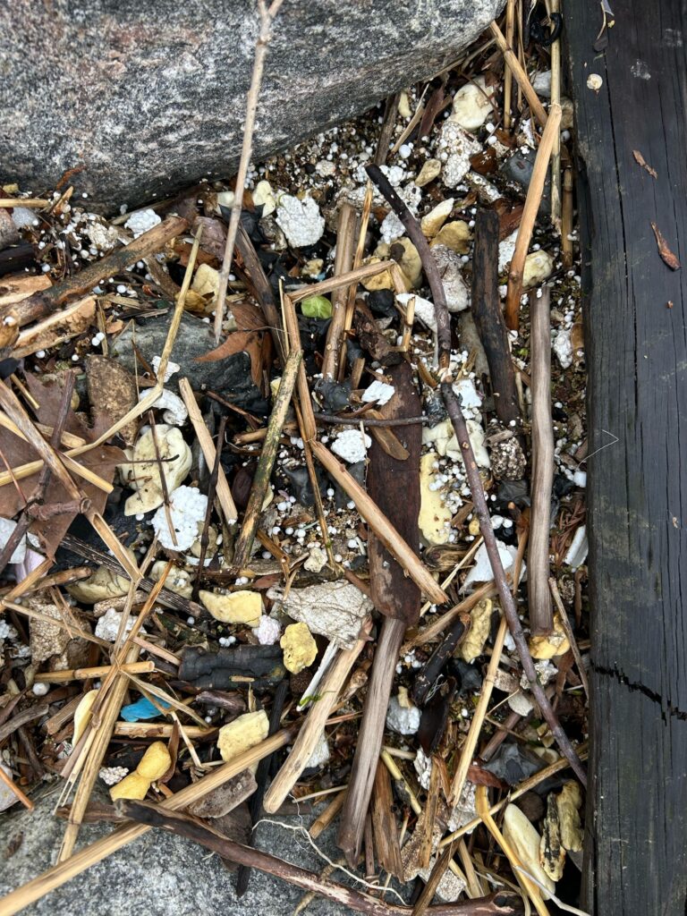 a pile of leaves and twigs (MyCoast AI)