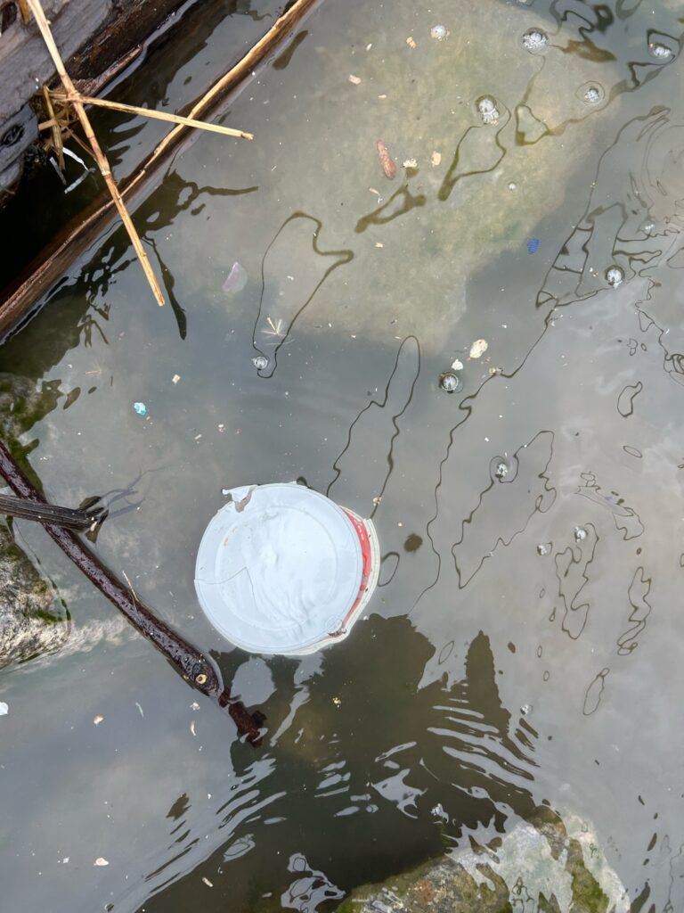 a bucket in a pond (MyCoast AI)