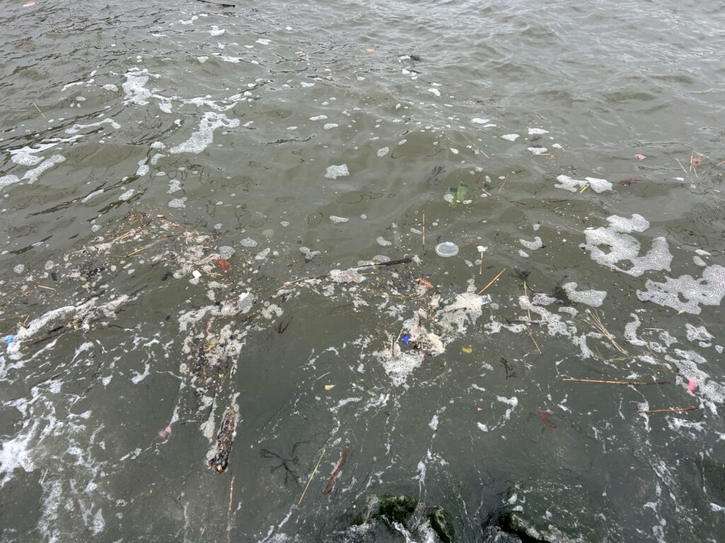 a group of people swimming in a body of water (MyCoast AI)