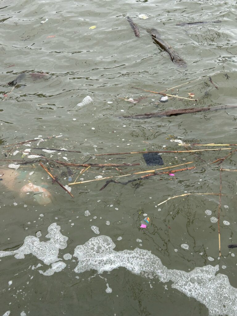 a group of sticks in the water (MyCoast AI)