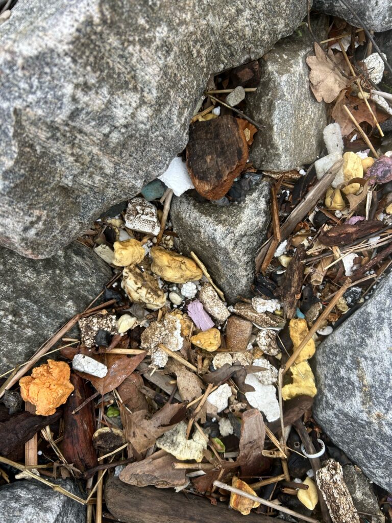 a pile of leaves and rocks (MyCoast AI)
