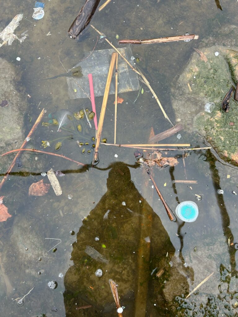 a hole in the ground with a hole in it (MyCoast AI)