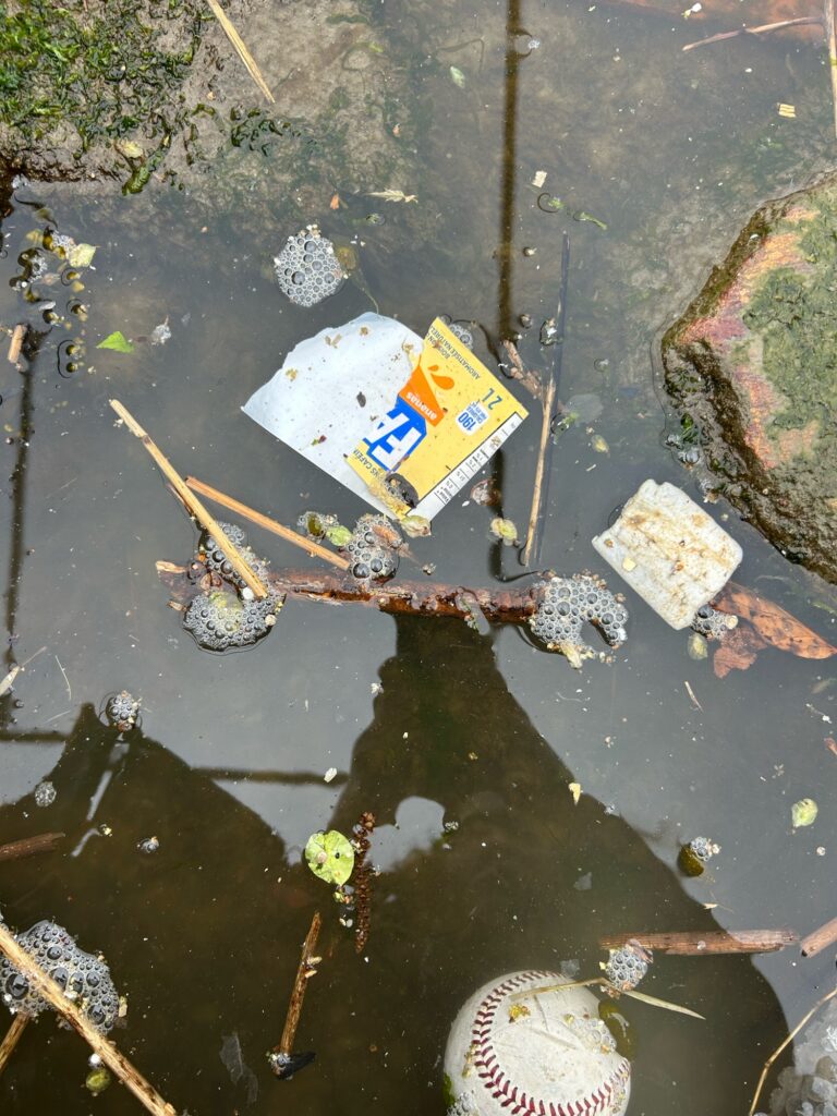 a yellow box on a wooden platform in a pond (MyCoast AI)