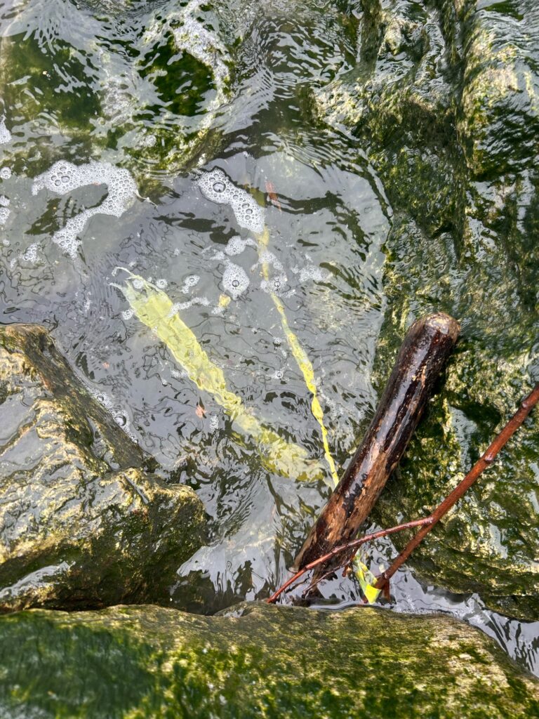 a stream with a yellow line (MyCoast AI)