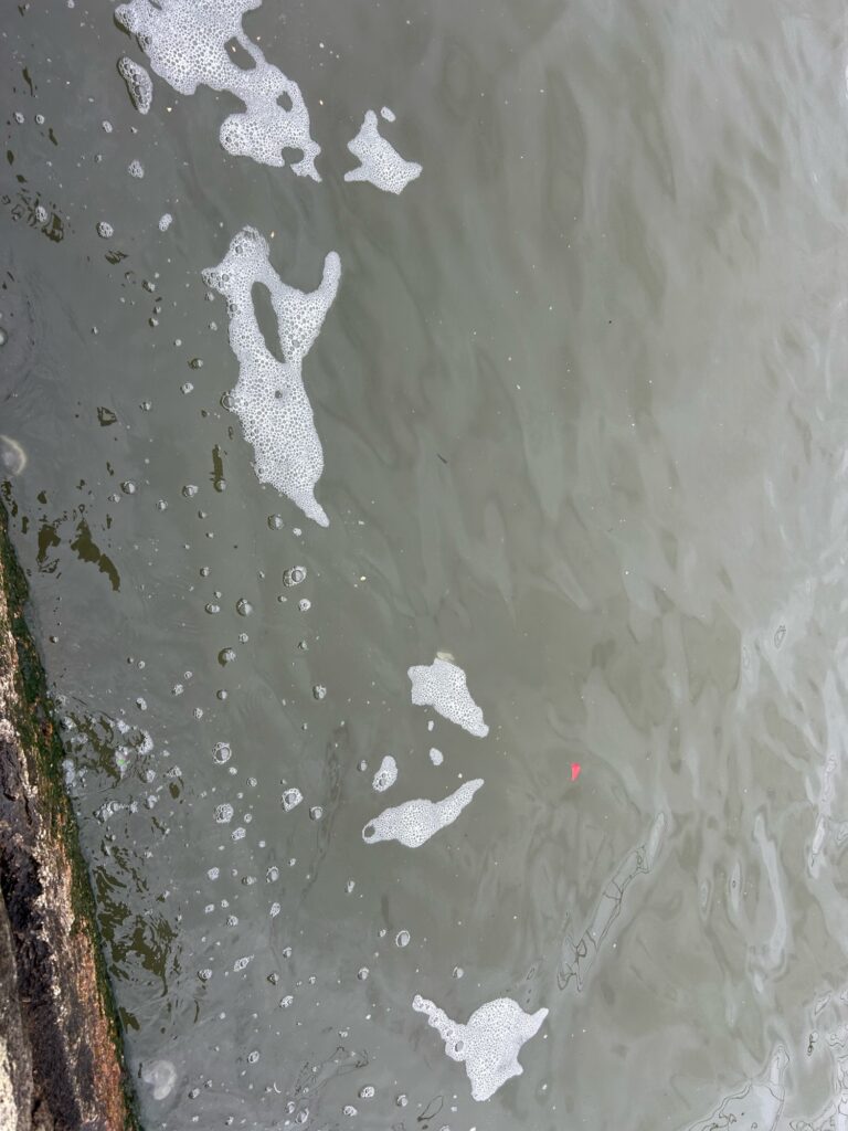 a group of white objects on a grey surface (MyCoast AI)