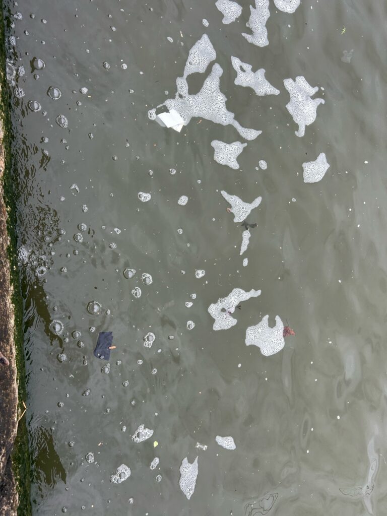 a group of white and black objects on a concrete surface (MyCoast AI)
