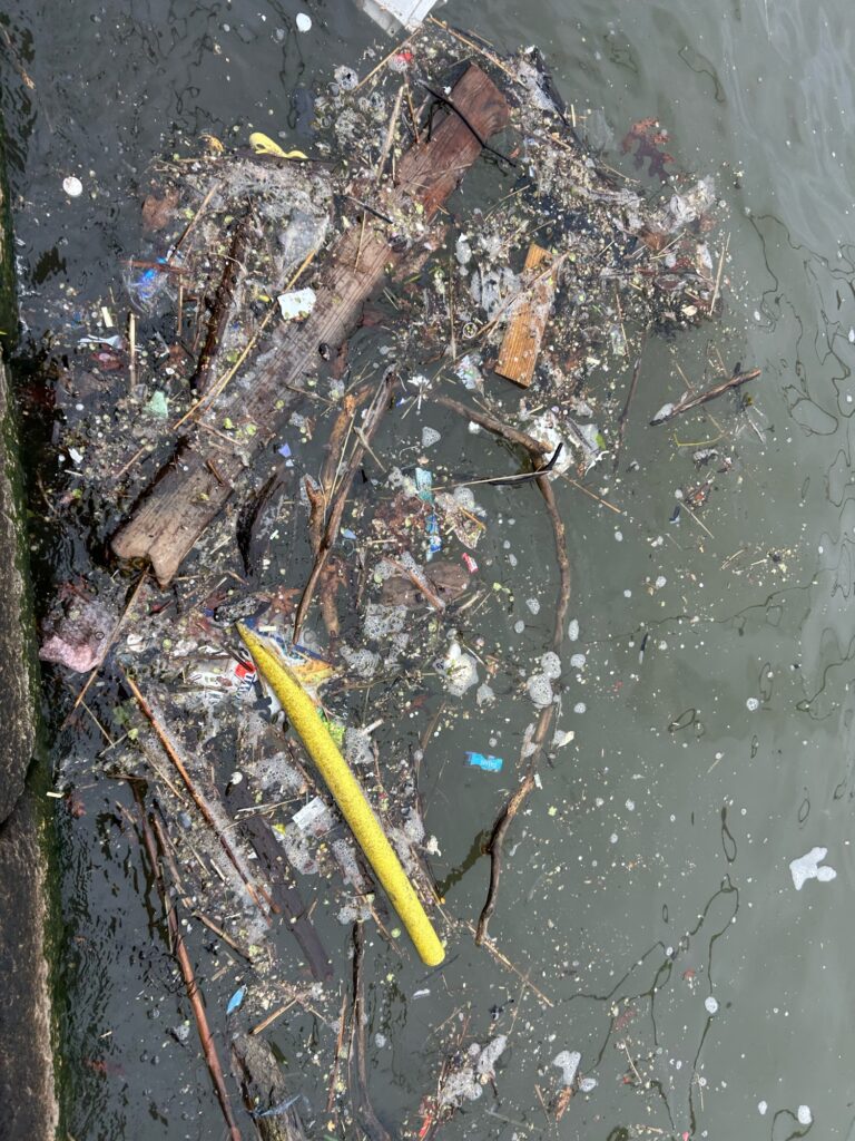 a yellow stick in the water (MyCoast AI)