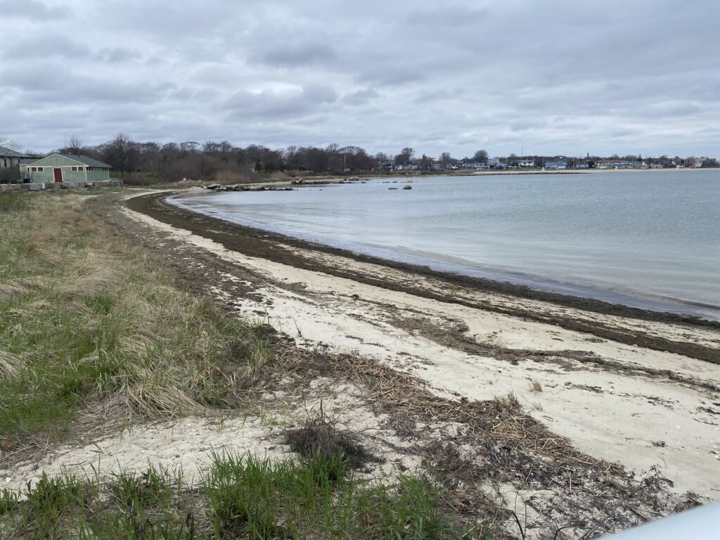 a beach with a body of water (MyCoast AI)