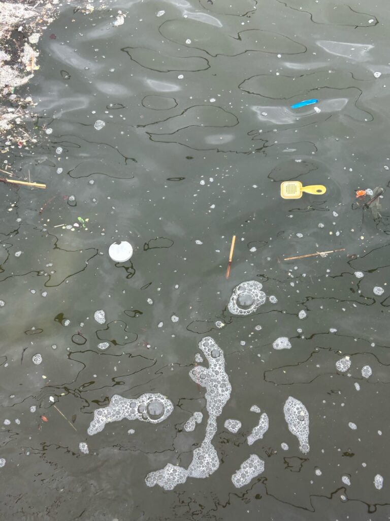 a group of wet glass (MyCoast AI)