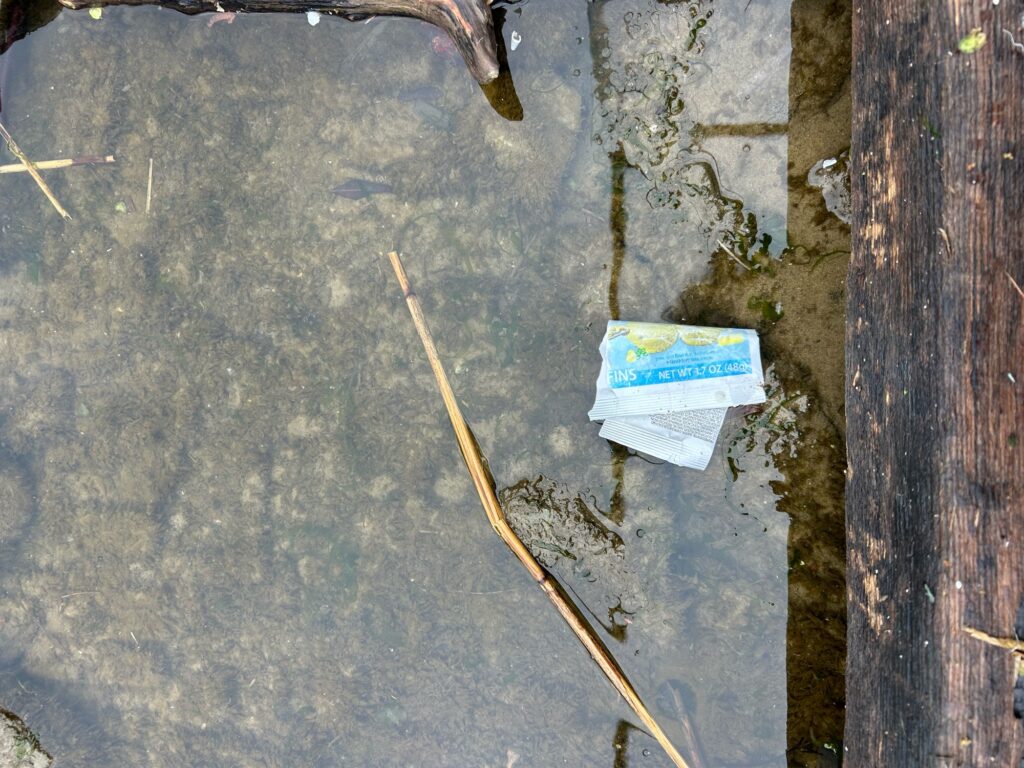 a piece of paper on a pole (MyCoast AI)