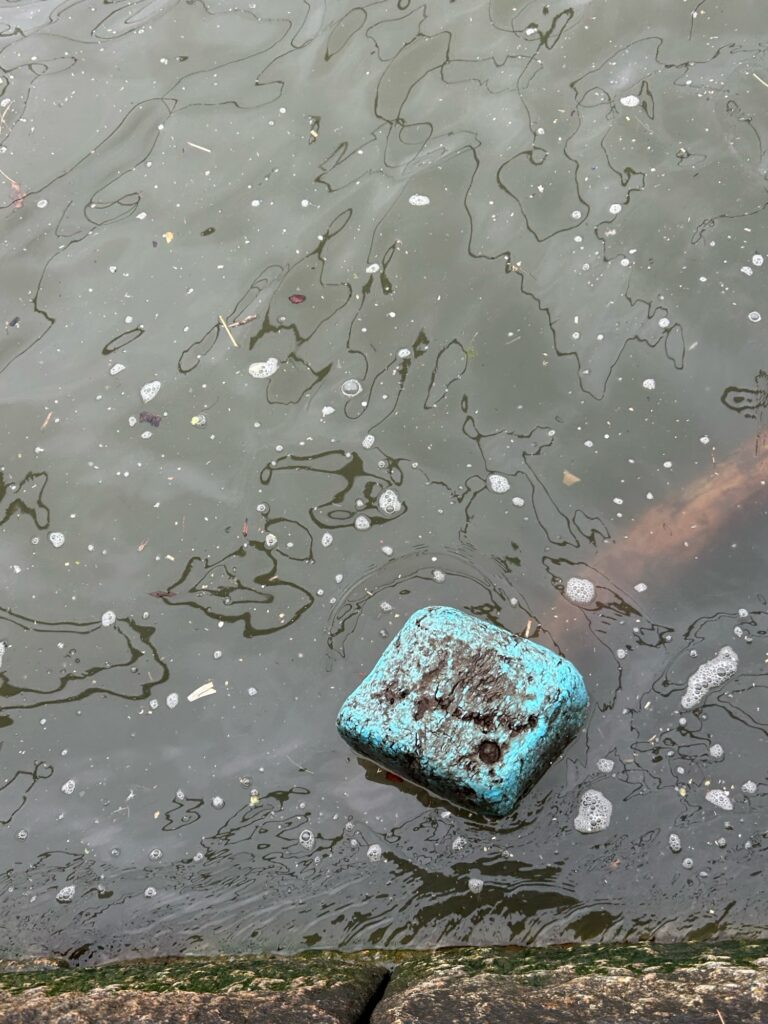 a blue plastic container in water (MyCoast AI)