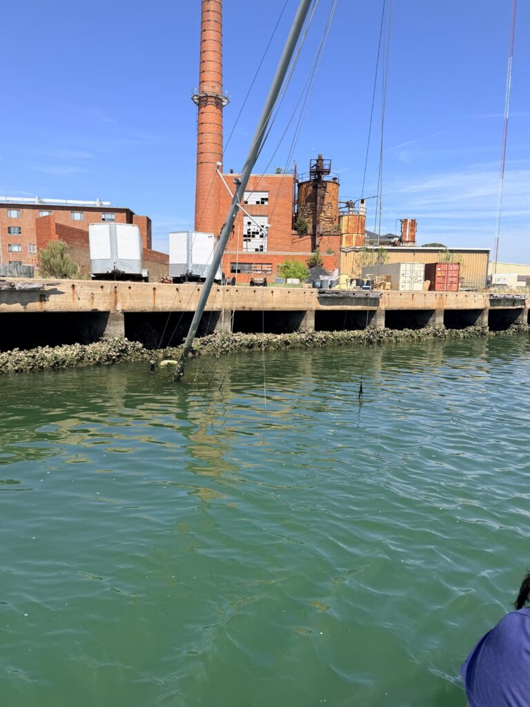 a body of water with a crane (MyCoast AI)
