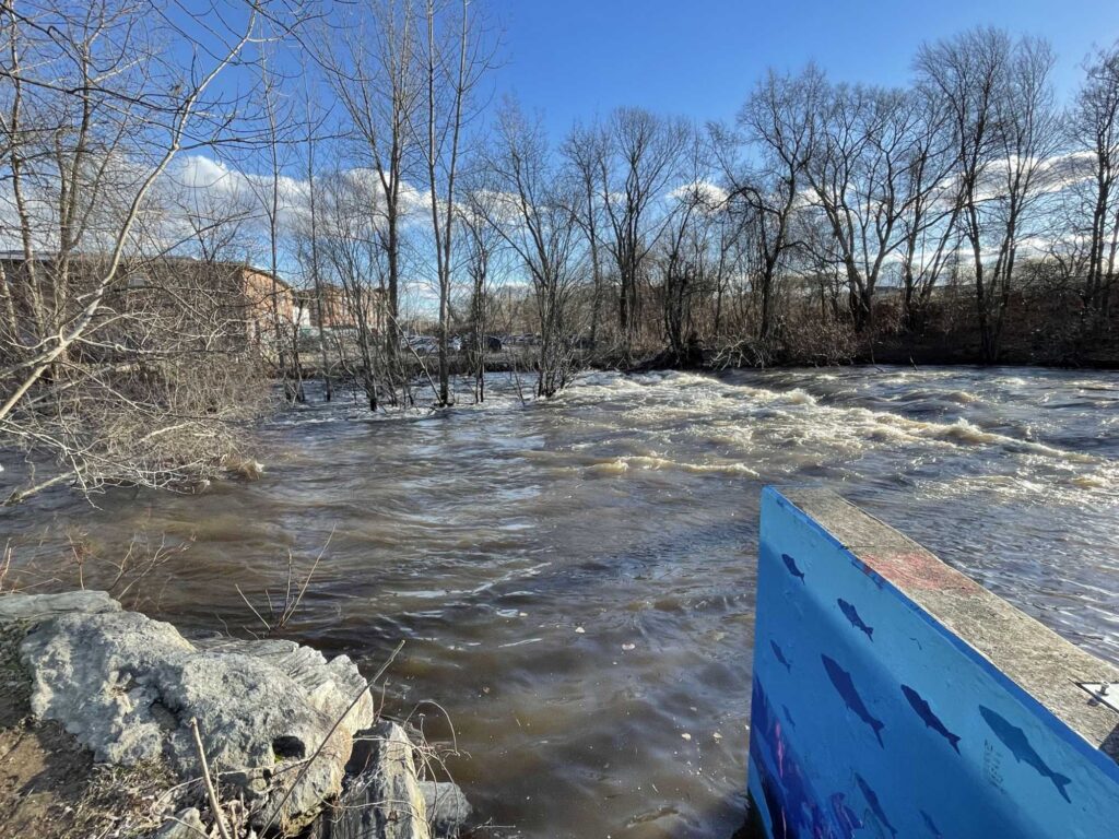 a river with ice and trees (MyCoast AI)