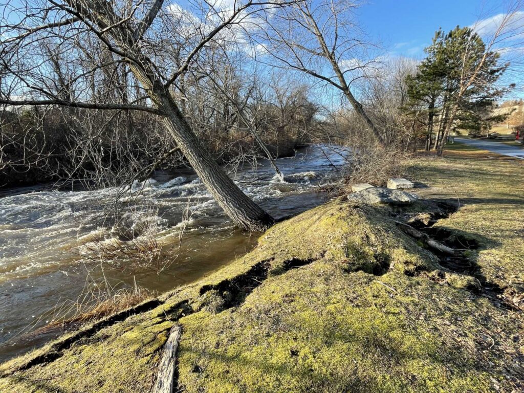 a river with grass and trees (MyCoast AI)